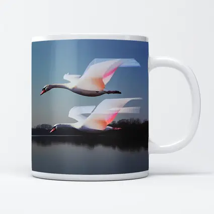 Two Swans Flying Over Calm Lake