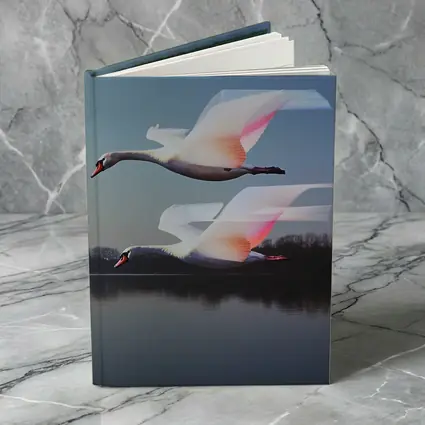 Two Swans Flying Over Calm Lake