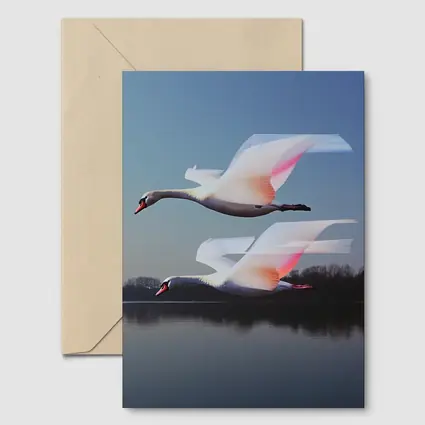 Two Swans Flying Over Calm Lake