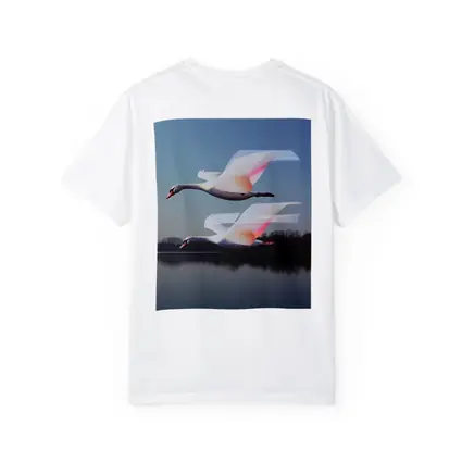 Two Swans Flying Over Calm Lake