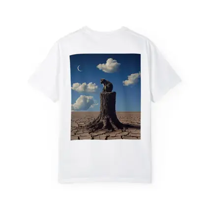 Monkey Sitting On Stump Cracked Desert Sky