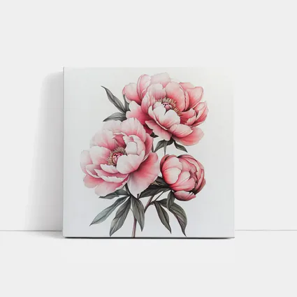 Pink Peony Bouquet Botanical Illustration White Background