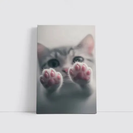 Cute Kitten Paws Up Gray Background