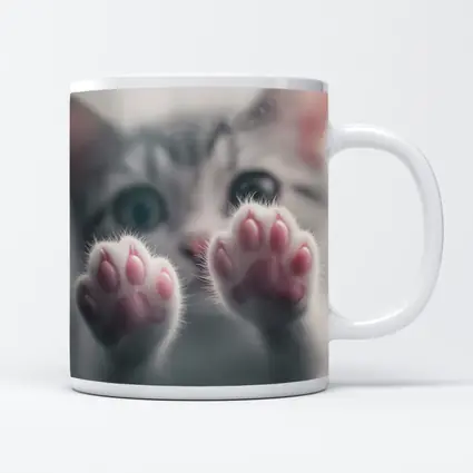 Cute Kitten Paws Up Gray Background