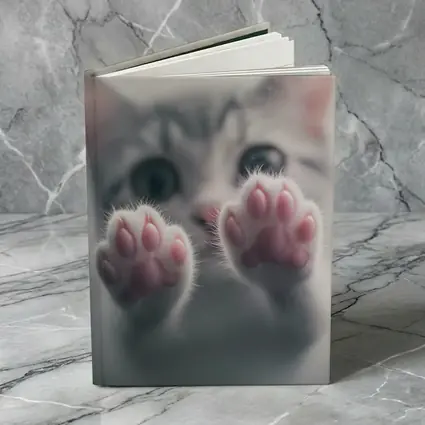Cute Kitten Paws Up Gray Background