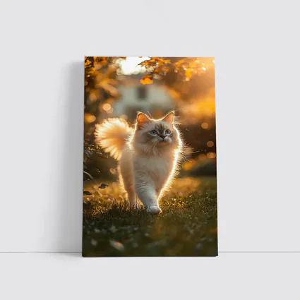 Ragdoll Cat Walking in Golden Garden