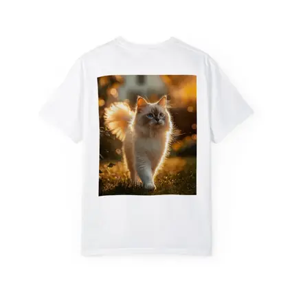 Ragdoll Cat Walking in Golden Garden
