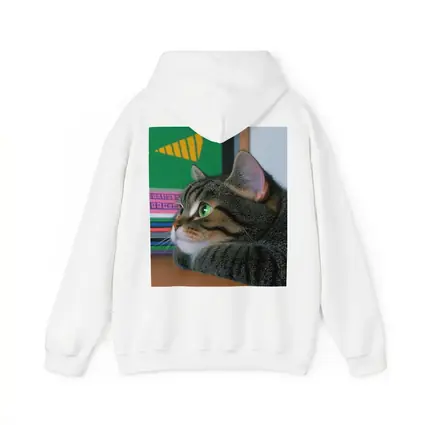 Tabby Cat Watching Colorful Television Screen