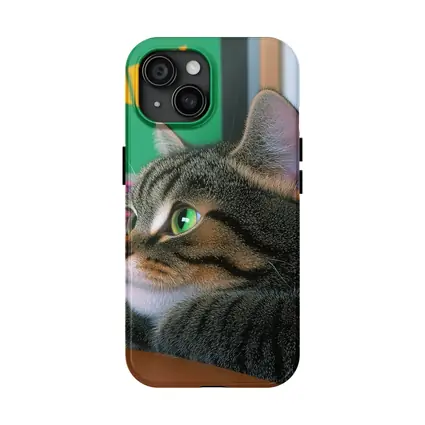 Tabby Cat Watching Colorful Television Screen