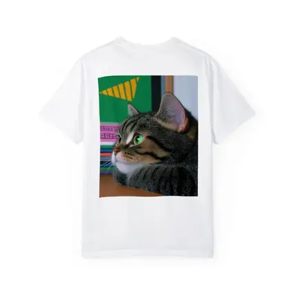 Tabby Cat Watching Colorful Television Screen