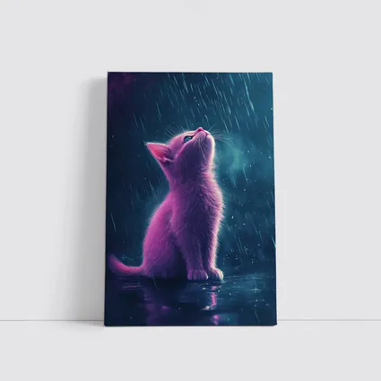 Pink Kitten Looking Up In Rain