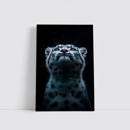 Snow Leopard Blue Eyes Dark Night Sky