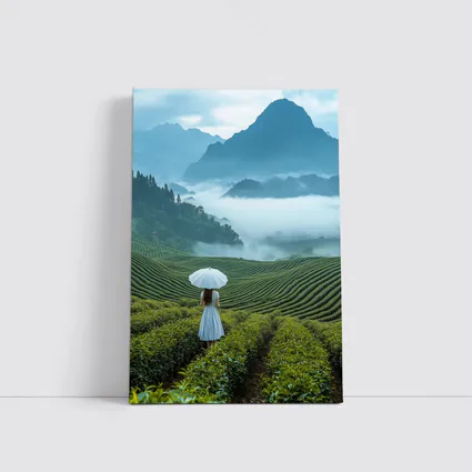 Woman With Umbrella In Misty Tea Fields