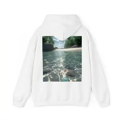 Tropical Beach Clear Water Shells Sunshine