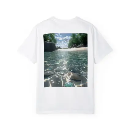 Tropical Beach Clear Water Shells Sunshine