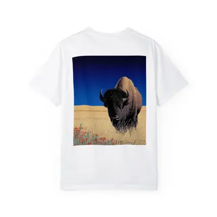 Bison Standing Tall Golden Prairie Blue Sky