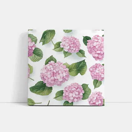 Pink Hydrangea Flowers Green Leaves White Background