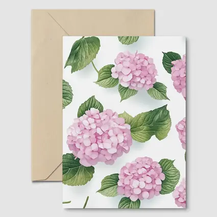 Pink Hydrangea Flowers Green Leaves White Background
