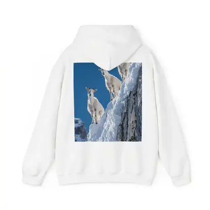 Mountain Goats Climbing Snowy Rocky Cliff
