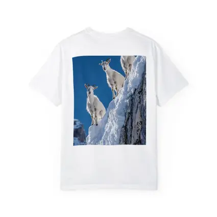 Mountain Goats Climbing Snowy Rocky Cliff