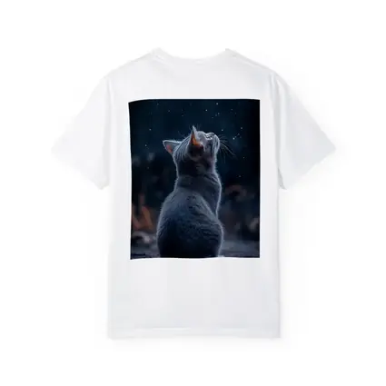 Gray Cat Gazing Up At Starry Night