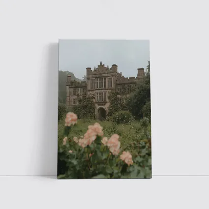 English Manor House Overgrown Rose Garden Fog
