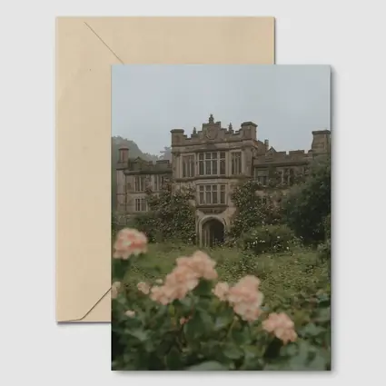 English Manor House Overgrown Rose Garden Fog