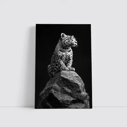 Jaguar Sitting On Rock Black Background