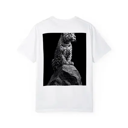 Jaguar Sitting On Rock Black Background