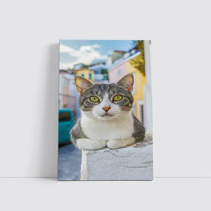 Gray Tabby Cat Green Eyes Colorful Street