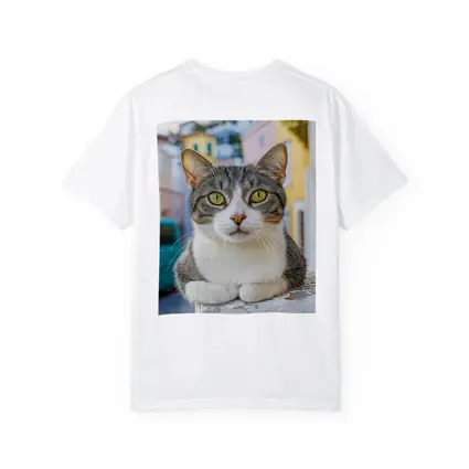 Gray Tabby Cat Green Eyes Colorful Street