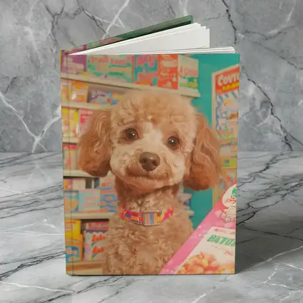 Poodle Dog In Colorful Candy Shop