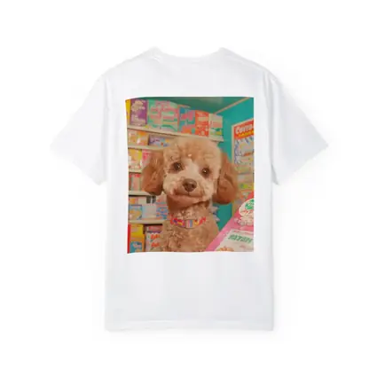Poodle Dog In Colorful Candy Shop