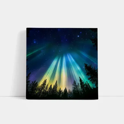 Aurora Borealis Northern Lights Forest Night