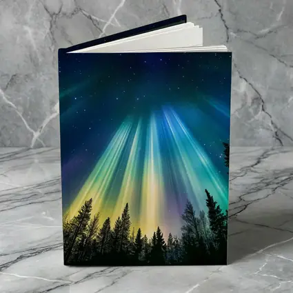 Aurora Borealis Northern Lights Forest Night
