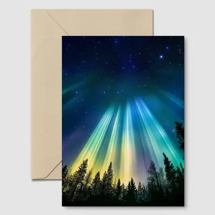Aurora Borealis Northern Lights Forest Night