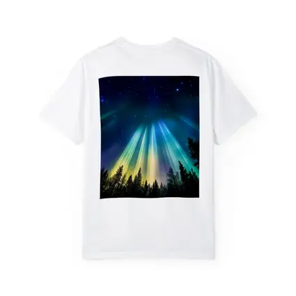Aurora Borealis Northern Lights Forest Night