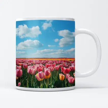 Pink Tulip Field Blue Sky Clouds