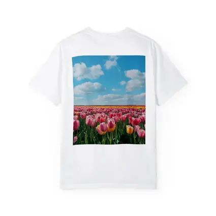 Pink Tulip Field Blue Sky Clouds
