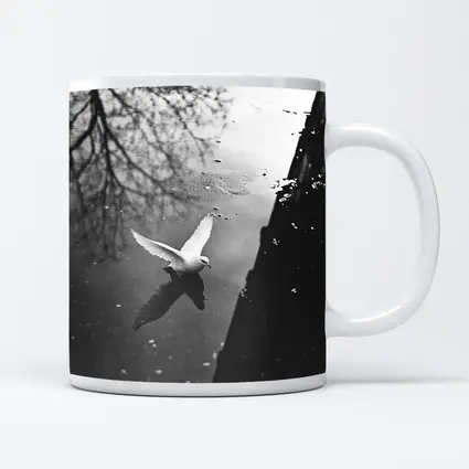 White Dove Flying Over Dark Water