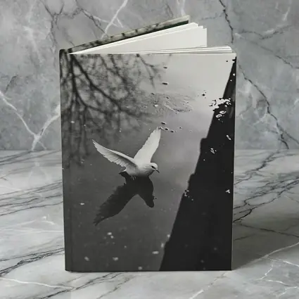 White Dove Flying Over Dark Water
