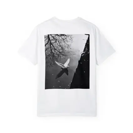 White Dove Flying Over Dark Water