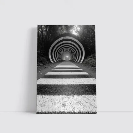 Black and White Striped Tunnel Forest Path