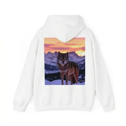 Gray Wolf Standing in Snowy Mountain Sunset