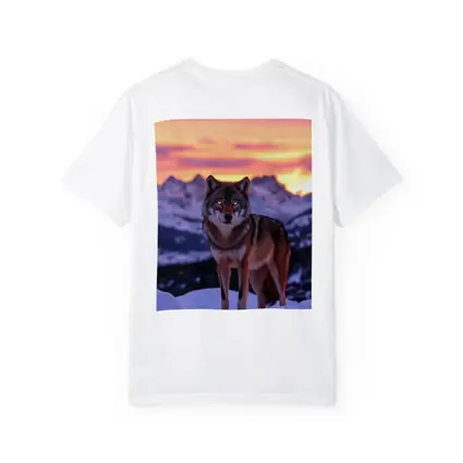 Gray Wolf Standing in Snowy Mountain Sunset