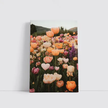 Tulip Field With Heart Shaped Flowers