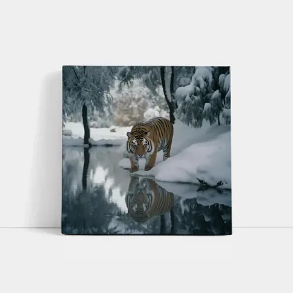 Amur Tiger Walking By Snowy Winter River
