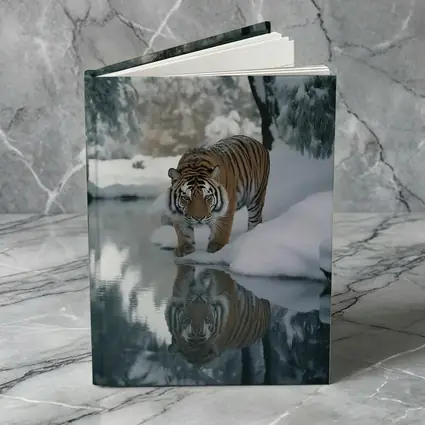 Amur Tiger Walking By Snowy Winter River