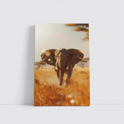 African Elephant Walking Through Golden Savanna