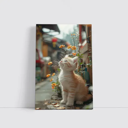 Ginger Kitten Sitting By Street Flowers